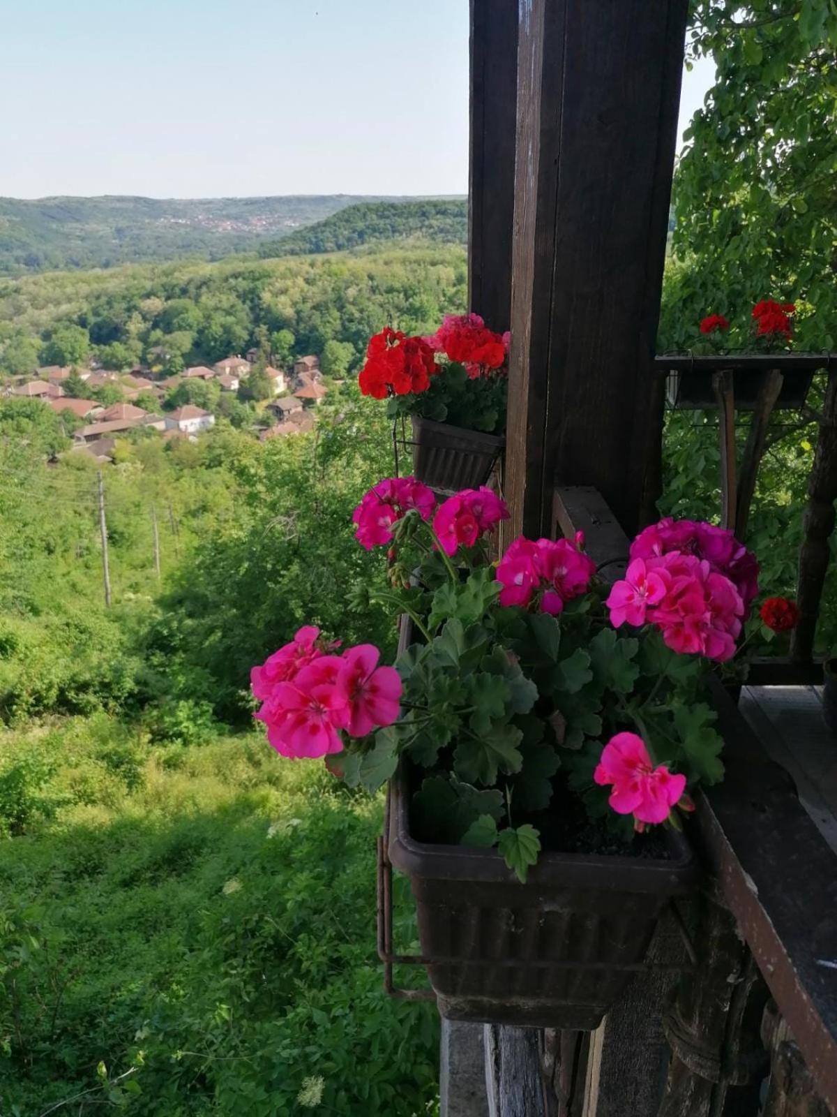 Country House Pivnica Milic Rogljevo Apartman Kültér fotó