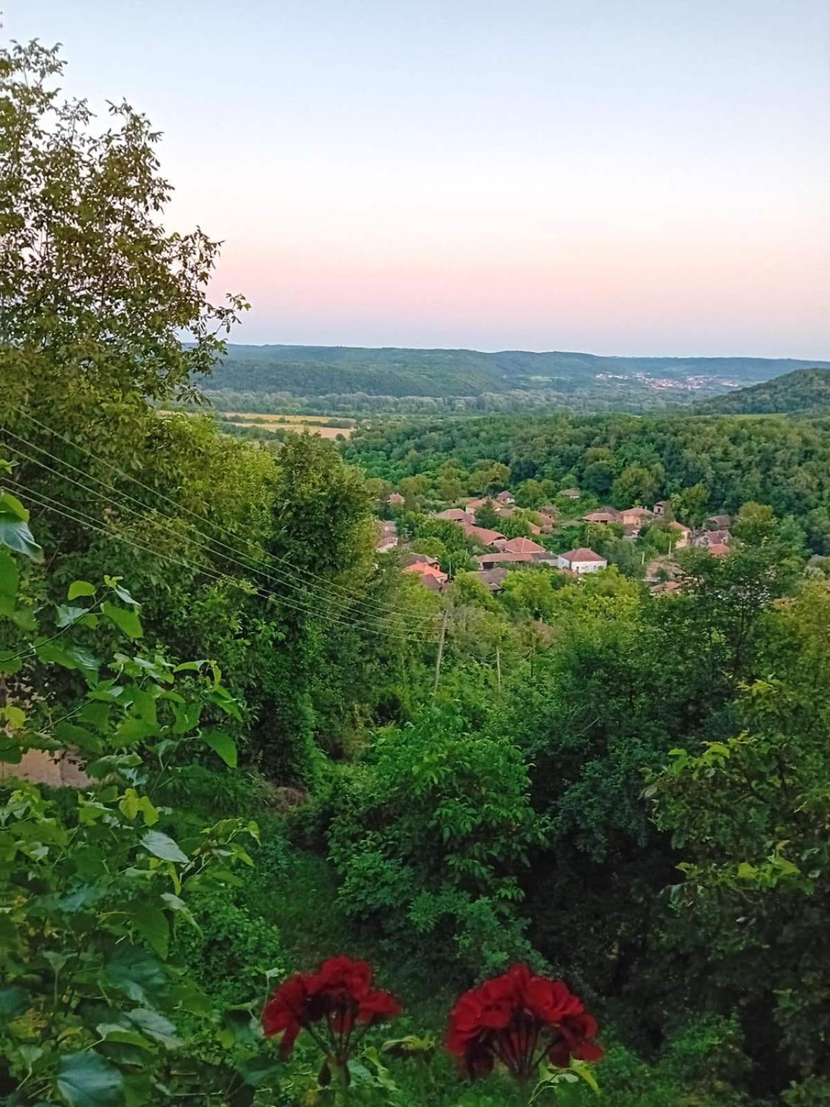 Country House Pivnica Milic Rogljevo Apartman Kültér fotó